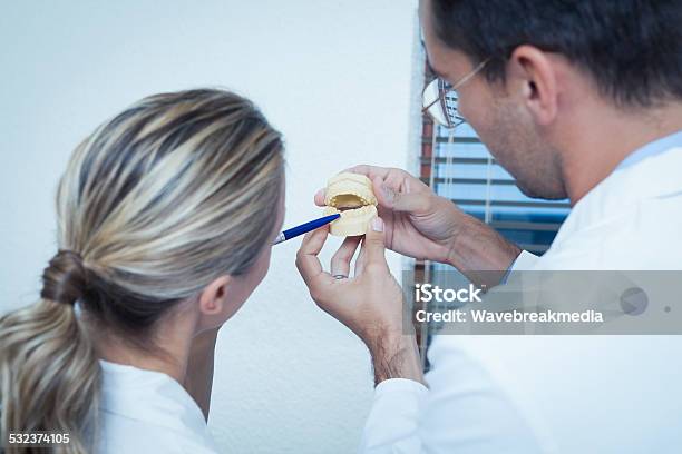 Dentists Looking At Mouth Model Stock Photo - Download Image Now - 20-29 Years, 2015, 25-29 Years