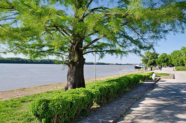 istock Travelling to Ruse, near the river Danube 532375281