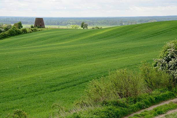 istock Rural landscape - an old windmill on the field 532376937