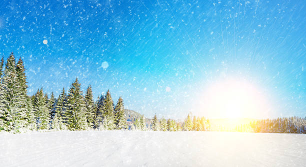 istock Trees covered with hoarfrost and snow 532377367