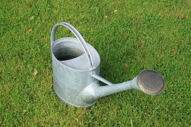 istock Watering can on the grass 532377569