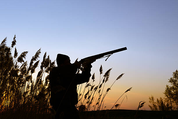 hunter-silhouette während dem sonnenuntergang - plateau stock-fotos und bilder