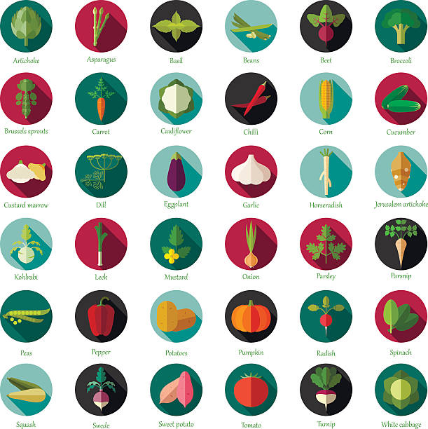 zestaw płaskie okrągłe ikony warzyw - rutabaga stock illustrations
