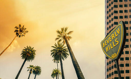 Los Angeles, Beverly Hill's sign, West Coast Palm Tree Sunshine