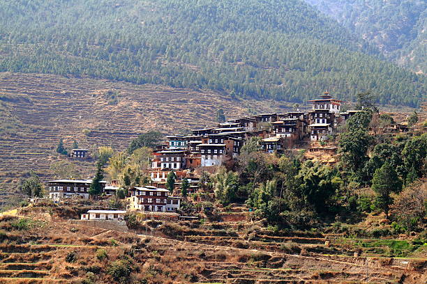 istock Countryside houses, Bhutan 532387884