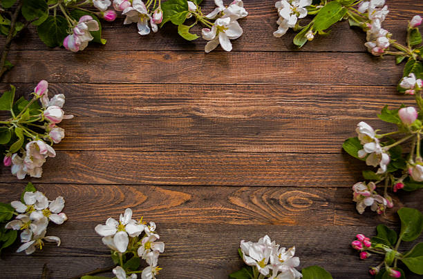 istock Blossoming apple tree on a wooden background, Black  template 532388604