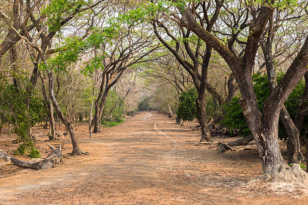 istock Archeological park temple. Angkor Wat Cambodia 532389138