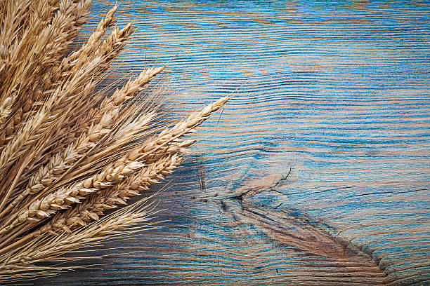 istock Heap of wheat rye ears on vintage wooden board 532389708