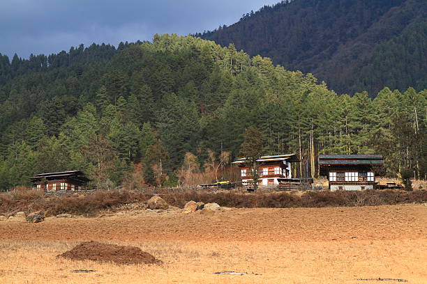 istock Countryside houses, Bhutan 532391342