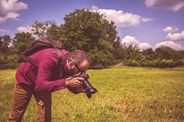 istock Photographing the plants in the meadow 532391750