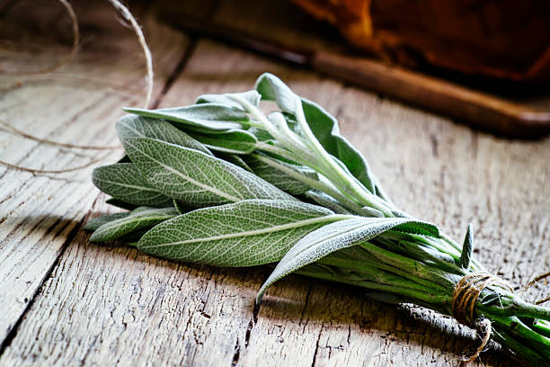 istock Bunch of fresh sage 532393682