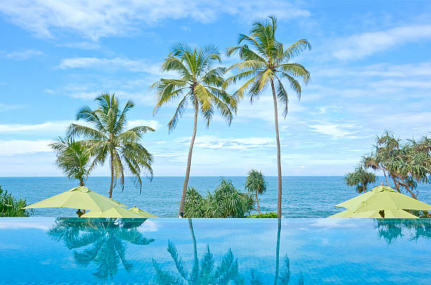 istock Infinity Swimming Pool In A Tropical Hotel, Negambo, Sri Lanka 532395229