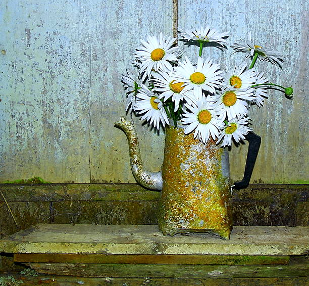 istock Fresh daisies in grunge coffee pot. 532395360