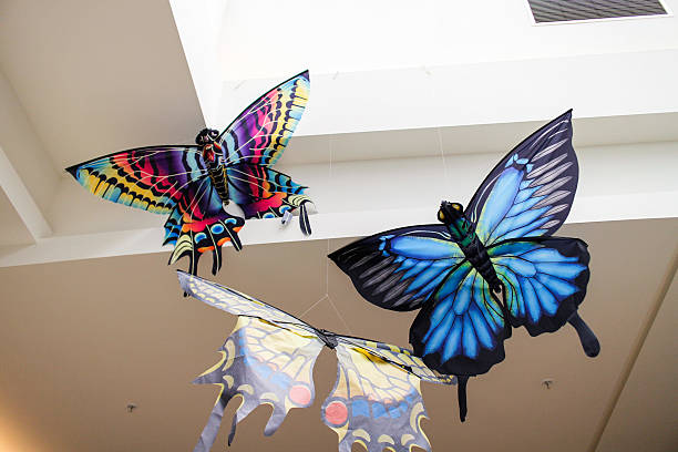 istock colorful paper butterflies on ceiling 532395478