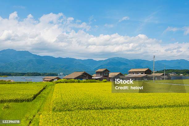 Ryotsu Atlake Kamo Stock Photo - Download Image Now - Japan, Rural Scene, Scenics - Nature