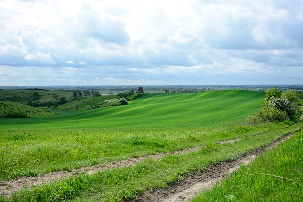 istock Rural landscape - an old windmill on the field 532396169