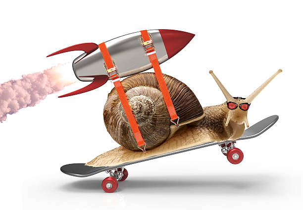 snail with speed snail with a rocket doing a stunt snail stock pictures, royalty-free photos & images