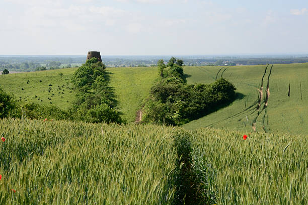 istock Rural landscape - an old windmill on the field 532396617