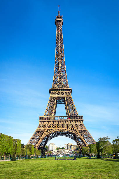 istock Eiffel Tower in Paris, France 532396970