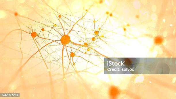 Neurons In The Brain Stock Photo - Download Image Now - Nerve Cell, Human Nervous System, Hormone