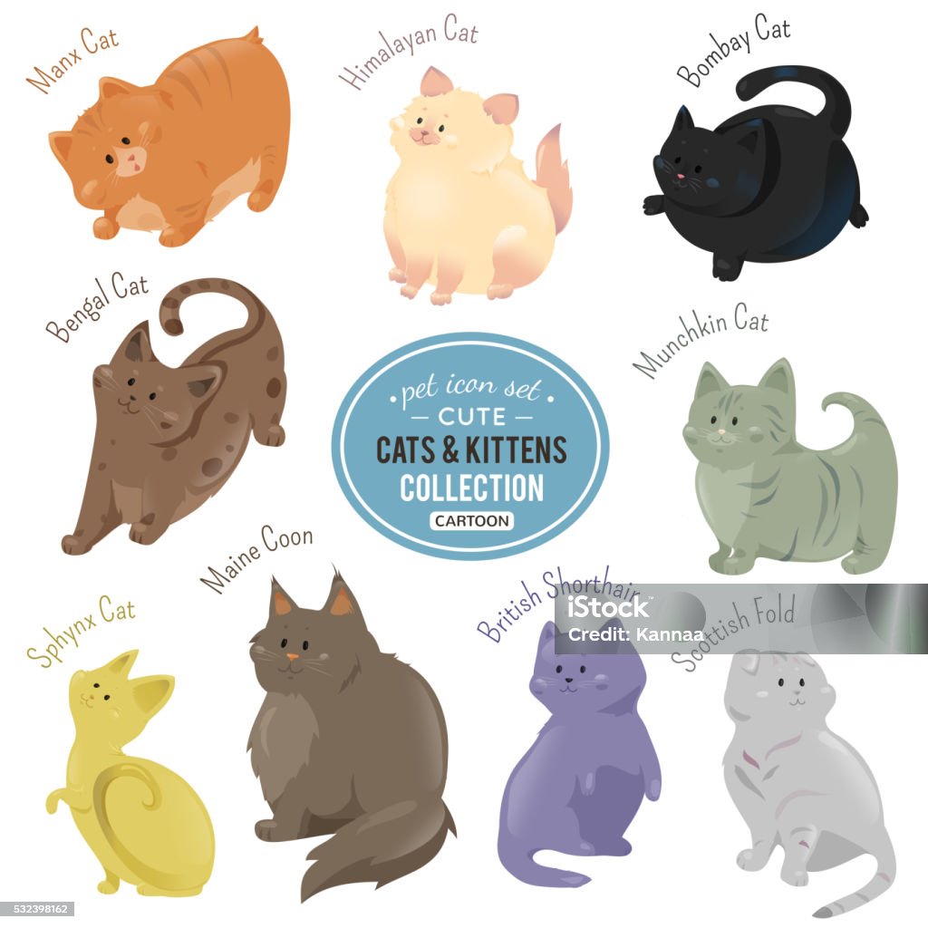 Mèo Và Mèo Con Dễ Thương Mô Tả Các Giống Màu Lông Khác Nhau Hình ...