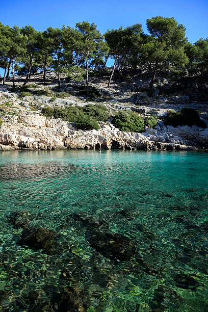 istock Beach creeks of Cassis 532399001