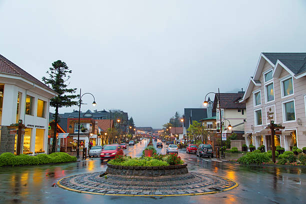 gramado, 남왕 브라질 - winter migration 뉴스 사진 이미지