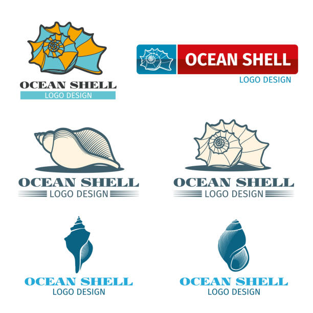 White Conch Shell Background Illustrations, Royalty-Free Vector ...