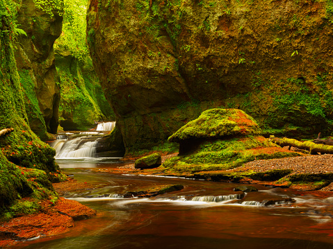 The Carnock Burn carves its way through the sandstone gorge, often named locally as the Devil's Pulpit.