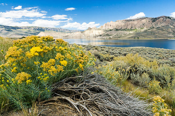 istock Mountain Lake Landscape in Colorado 532403322
