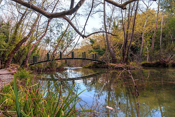 istock Wooden Bridge on Lake 532407232