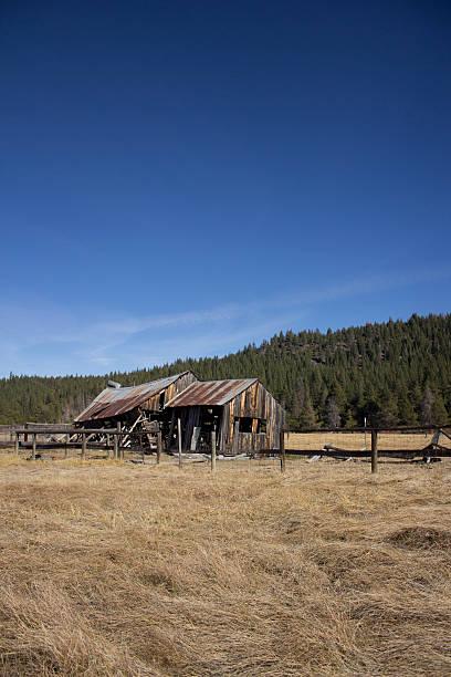 Old barn in Sierraville California