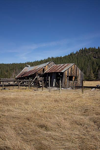 istock Old barn in Sierraville California 532407472