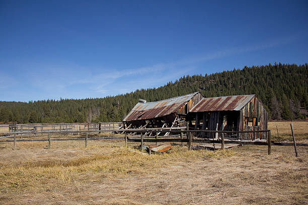 istock Old barn in Sierraville California 532407500
