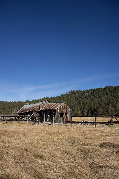 istock Old barn in Sierraville California 532407780