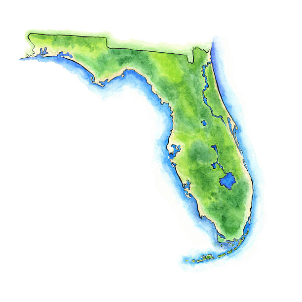рука окрашенные акварель карта штата флорида, сша - florida cartography map florida keys stock illustrations