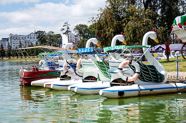 istock Swan paddle bouts at the lakeside 532409946
