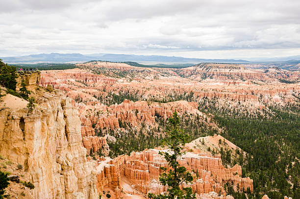 istock Hoodoos at Bryce Canyon National Park, Utah 532410212