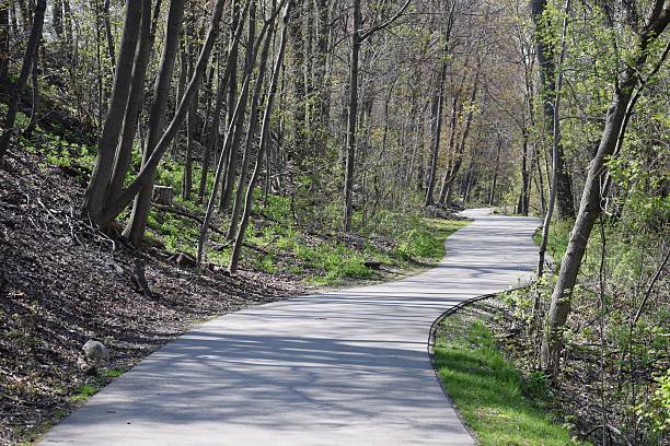 istock Trail in the woods 532410306
