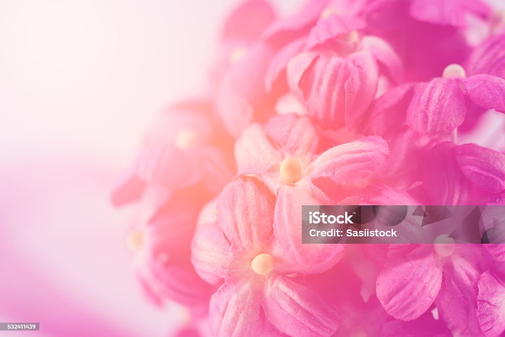 Sweet color flower make of mulberry paper in soft style Sweet color flower make of mulberry paper in soft style for background 2015 Stock Photo