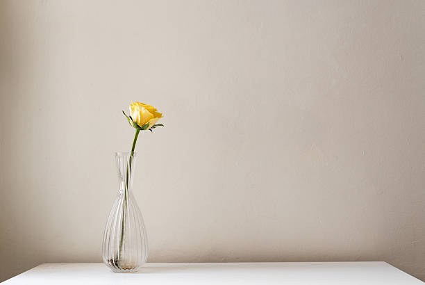 istock Single yellow rose in glass vase 532411762