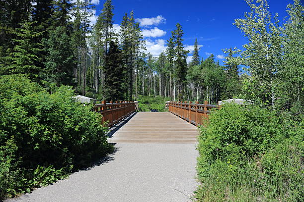 istock Mountain Footbridge Running Into Forest 532411998