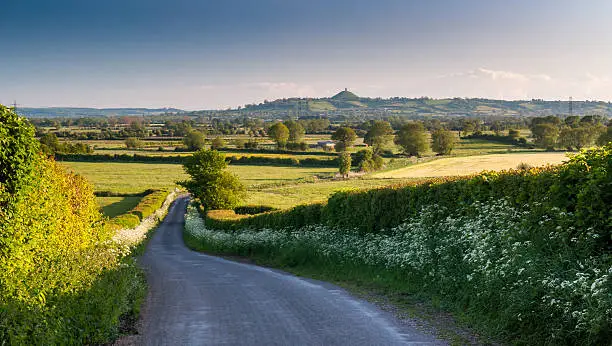 A lane lined with spring verge flowers leads down to the Somerset Levels, with Glastonbury Tor beyond.