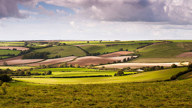 istock Sydling Valley and Break Heart Hill 532412470