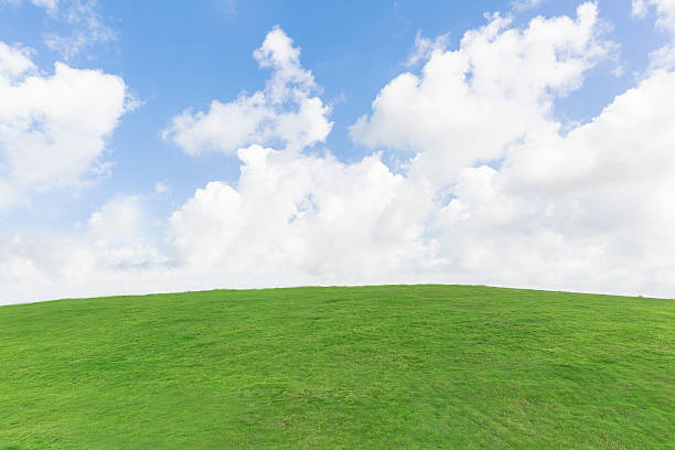 istock cloud in blue sky and green meadow with horizon. 532412656