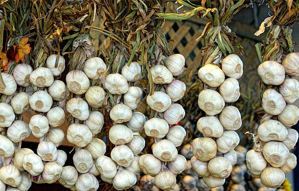 istock Garlic Braids at Farmer's Market 532415123