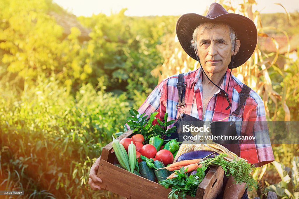 Crate with vegetables 2015 Stock Photo