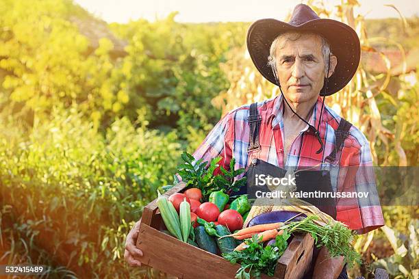 Crate With Vegetables Stock Photo - Download Image Now - 2015, Adult, Adults Only