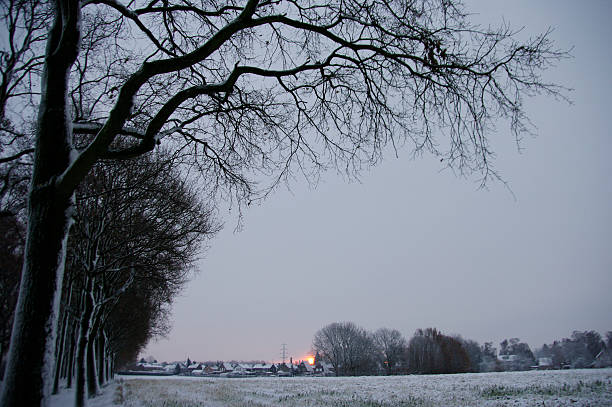 istock Winter landscape in Limburg 532415565