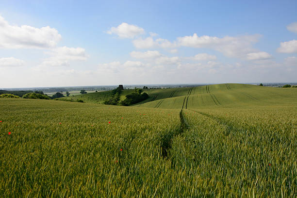 istock Rural landscape - an old windmill on the field 532418047